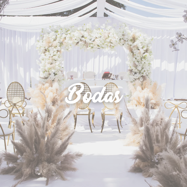 Bodas